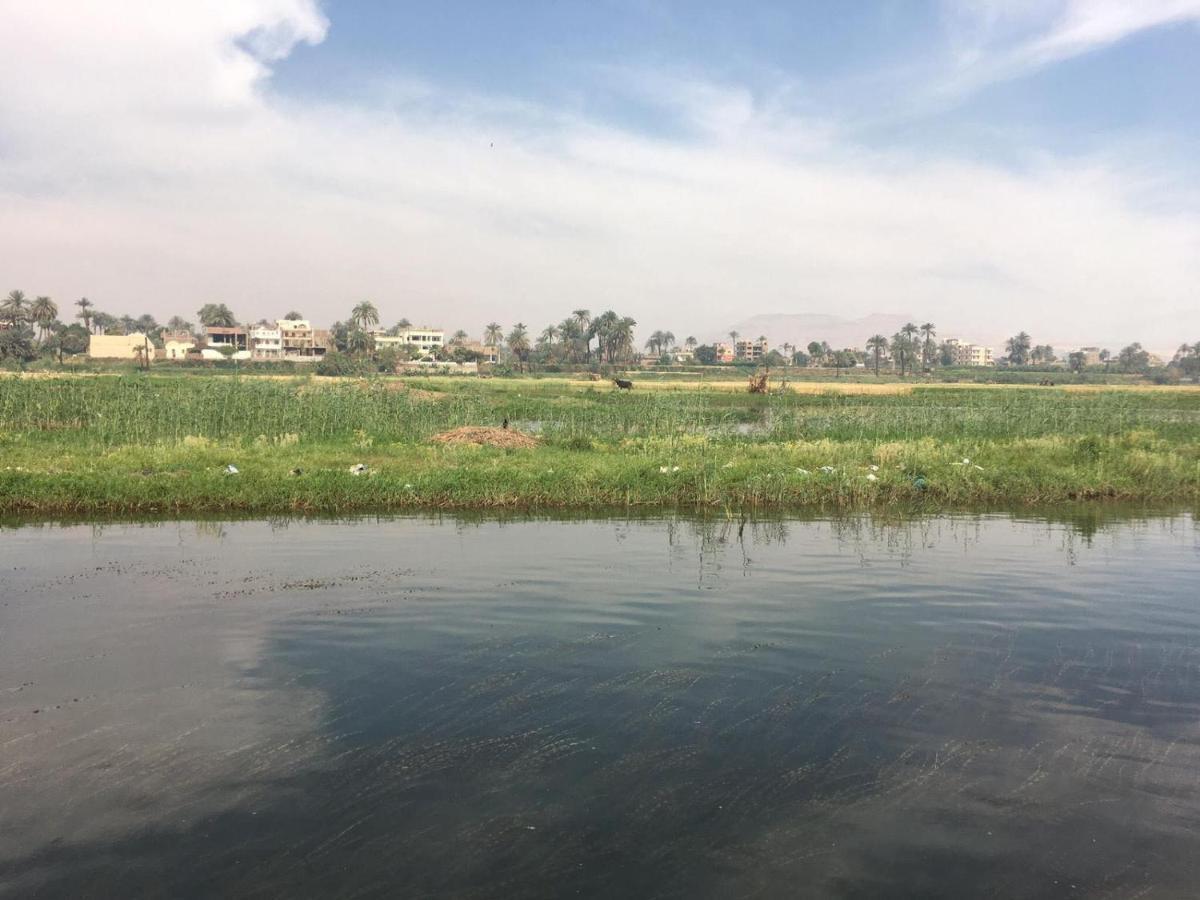 Apartment In Luxor City Center-Nil エクステリア 写真